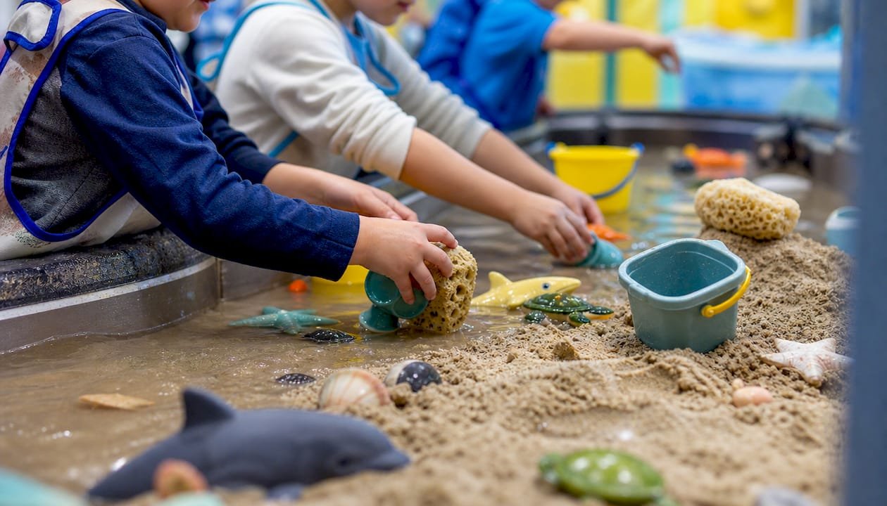 Children's hands playing at sensory water table